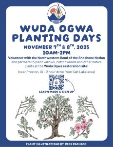 Wuda Ogwa Planting Days